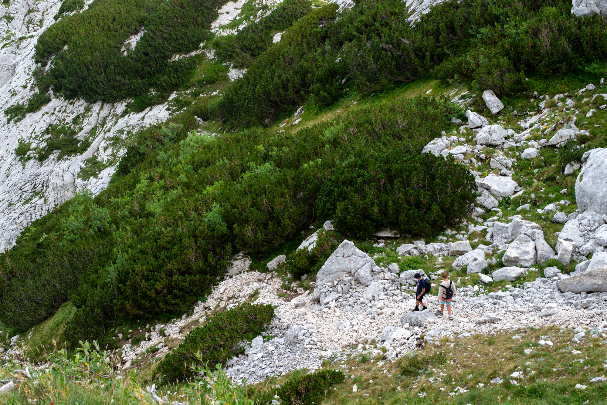 people walking down the mountain